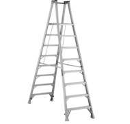 Dual-purpose Ladder